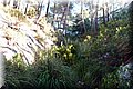 P9054799.JPG
