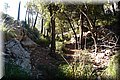 P9054800.JPG