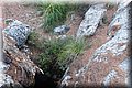 P9054806.JPG