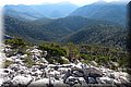 P9054811.JPG