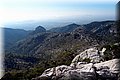 P9054813.JPG