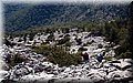 P9054820.JPG