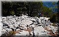 P9054823.JPG