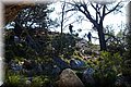 P9054825.JPG