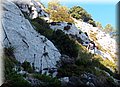 P9054826.JPG