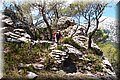P9054848.JPG