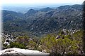 P9054854.JPG