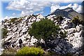 P9054878.JPG