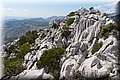 P9054880.JPG
