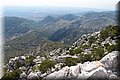 P9054882.JPG