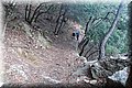 P9094903.JPG
