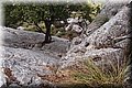 P9094968.JPG