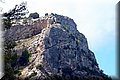 P9095018.JPG