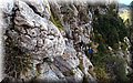 P9095030.JPG