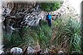 P9095058.JPG