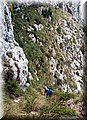 P9095060.JPG