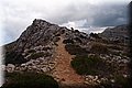 P9095076.JPG