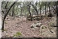 P9095081.JPG