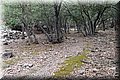 P9095083.JPG