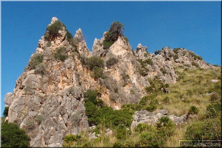 PA146094.JPG