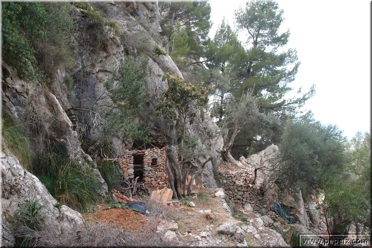 PA246542.JPG
