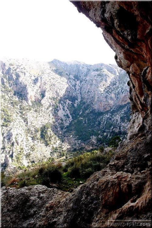 PA246568.JPG