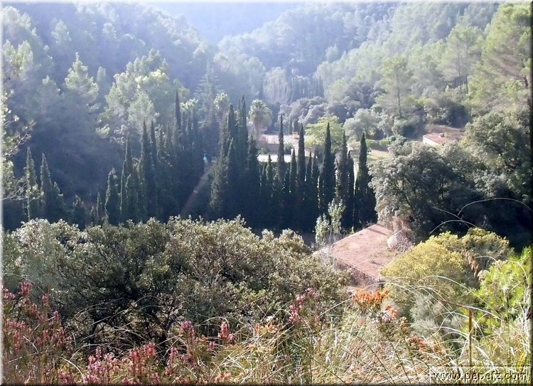 PA286694.JPG