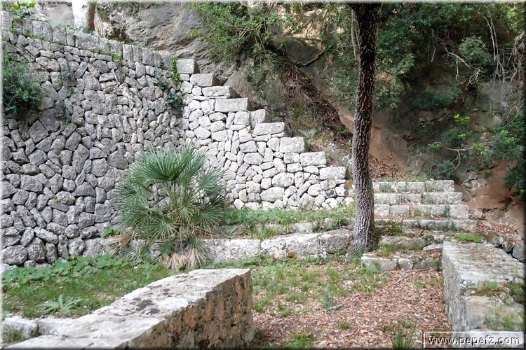 PA286718.JPG