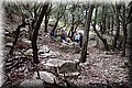 PC028447.JPG