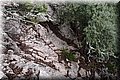 PC028449.JPG