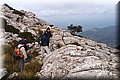 PC028469.JPG