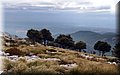PC028480.JPG