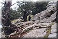 PC028485.JPG