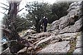 PC028486.JPG