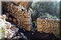 PC058504.JPG
