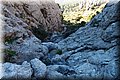 PC058510.JPG