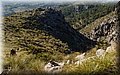 PC058511.JPG