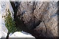 PC058533.JPG