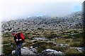 PC058560.JPG