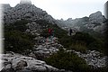 PC058568.JPG
