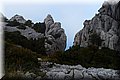 PC058570.JPG