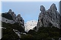PC058572.JPG