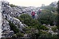 PC058575.JPG