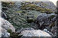 PC098767.JPG