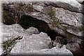 PC098802.JPG