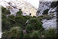 PC128909.JPG