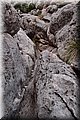 PC128935.JPG