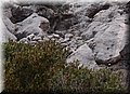 PC128937.JPG