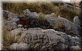 PC128950.JPG