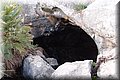 PC128953.JPG